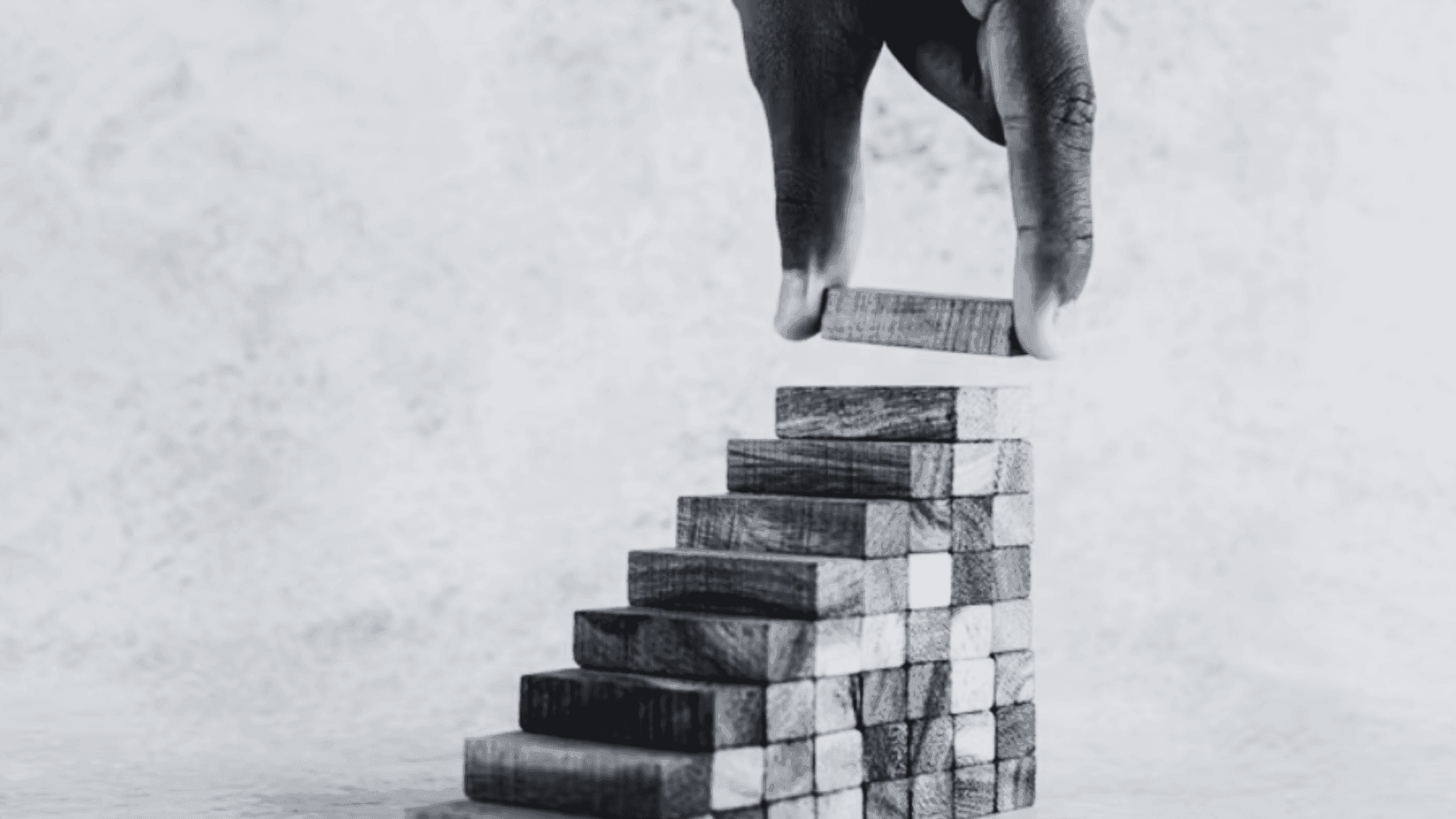 PROJETO DE VIDA E SEU PAPEL NO DESENVOLVIMENTO INTEGRAL